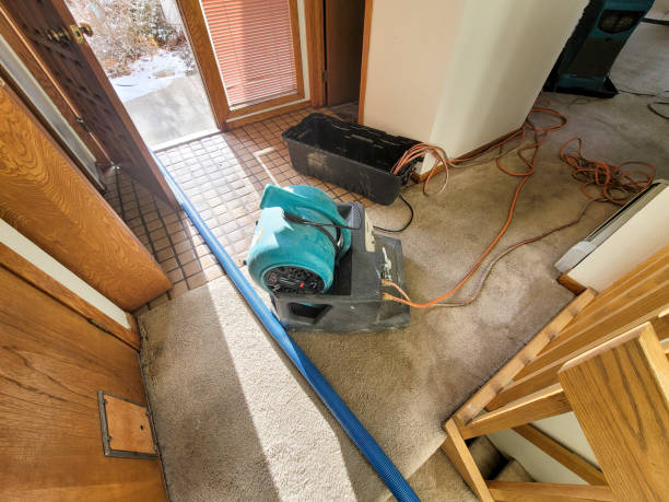Best Emergency water damage restoration  in San Andreas, CA