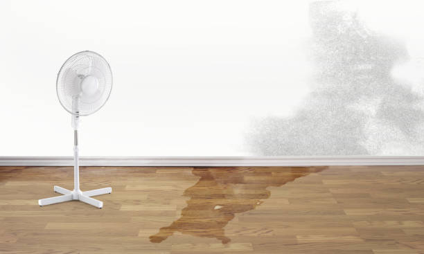 Best 24/7 water damage repair  in San Andreas, CA