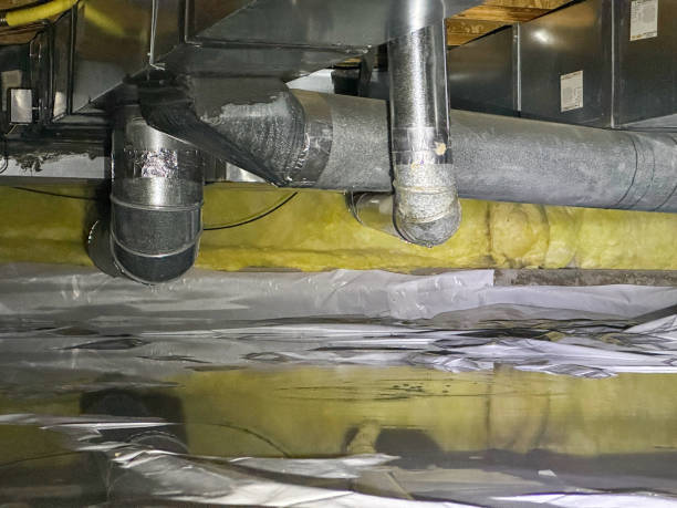Best Flood damage cleanup  in San Andreas, CA