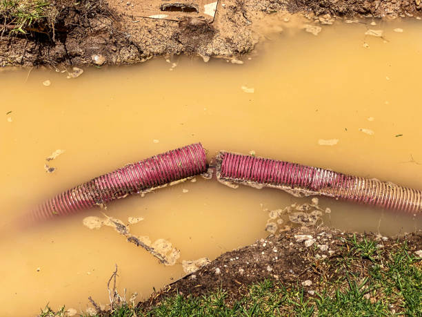 Best Water damage restoration specialists  in San Andreas, CA