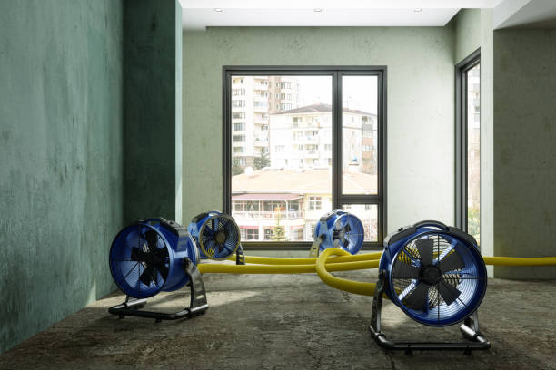 Reliable San Andreas, CA Water damage restoration Solutions